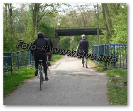 Fußgänger rechts sehen Radfahrer nicht